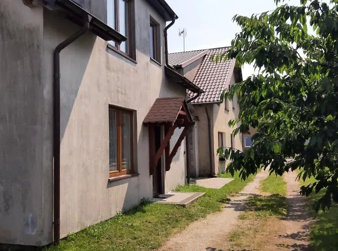 Goscinne Kolorowa Nowecin