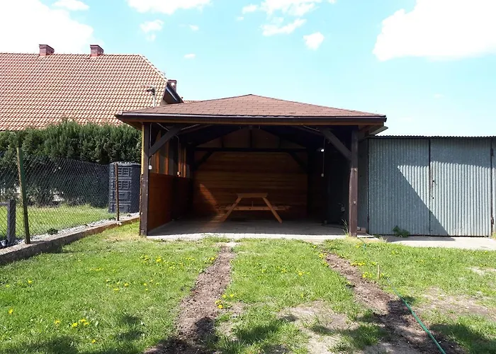 Goscinne Kolorowa Nowecin