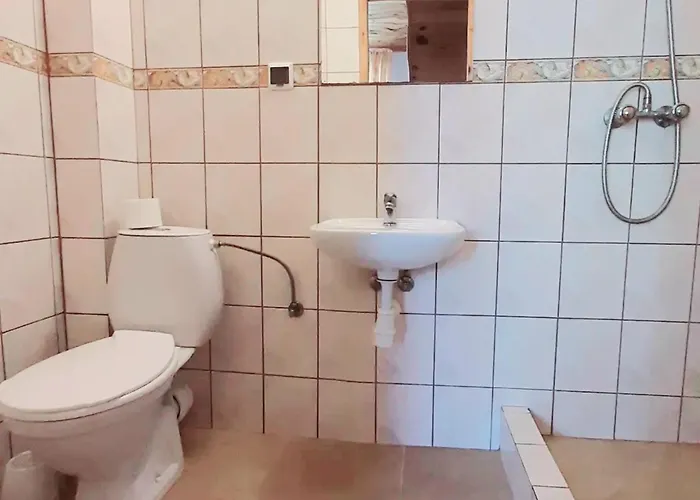 Goscinne Kolorowa Nowecin