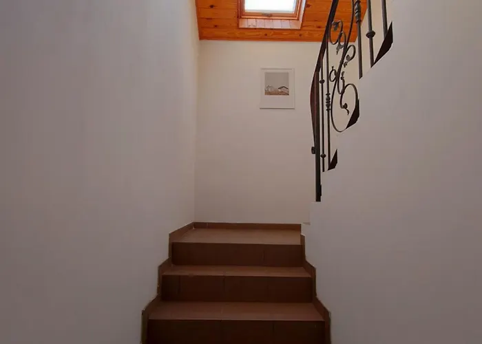 Goscinne Kolorowa Nowecin