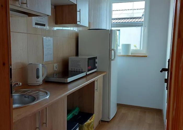 Goscinne Kolorowa Nowecin